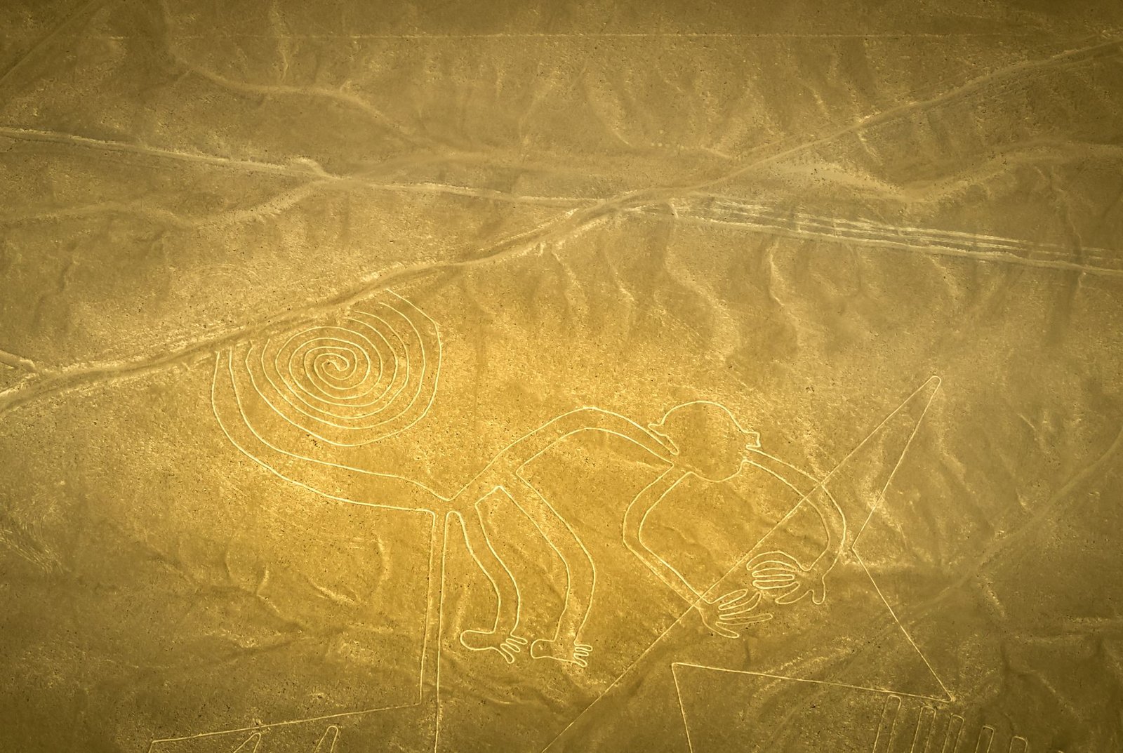 What Were the Nazca Lines Used For?